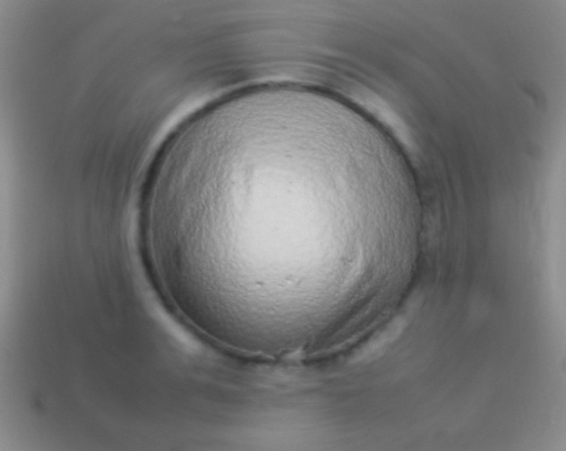 X0000114220991200910231439