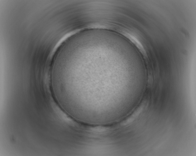 X0000114220992200910231439