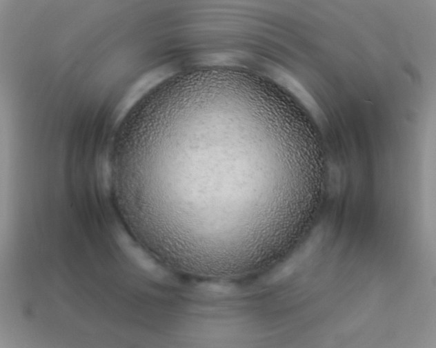 X0000114220994200910231439