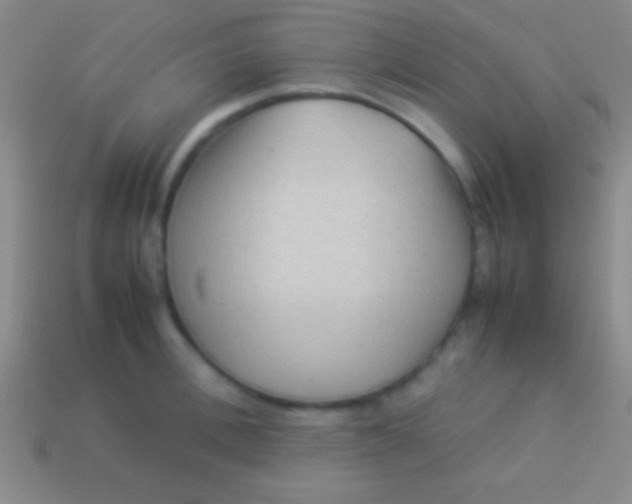 X0000114220996200910231439