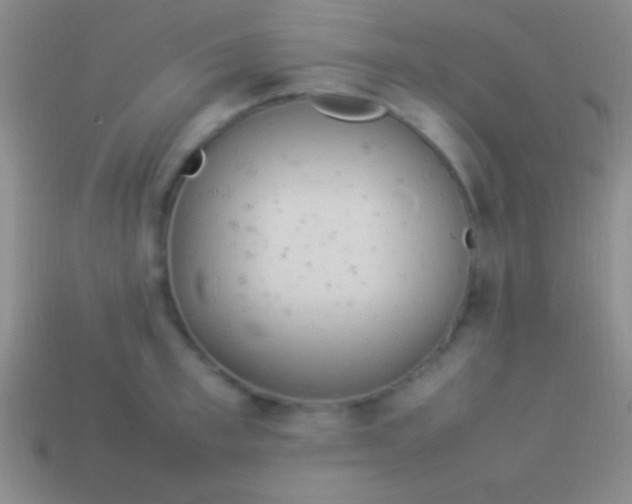 X0000114220997200910231439