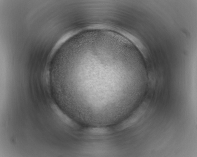 X0000114220998200910231439