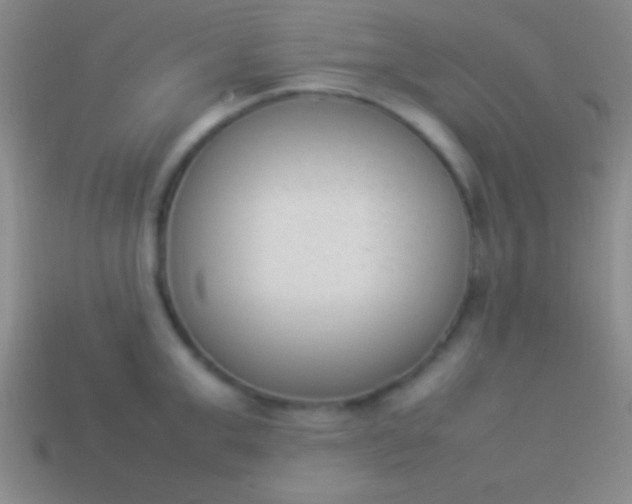 X0000114220999200910231439