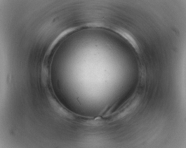 X0000114221000200910231439