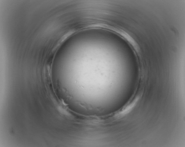 X0000114221001200910231439