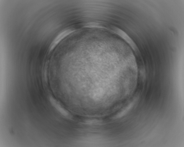 X0000114221002200910231439