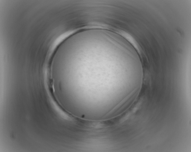 X0000114221003200910231439