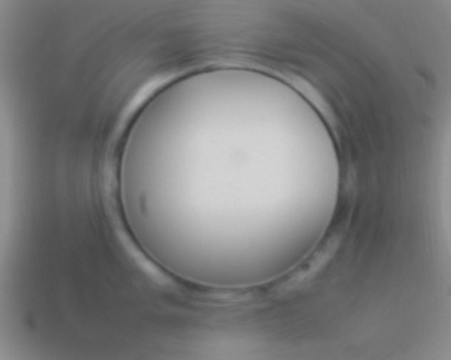 X0000114221005200910231439