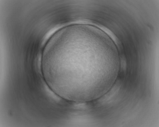 X0000114221006200910231439