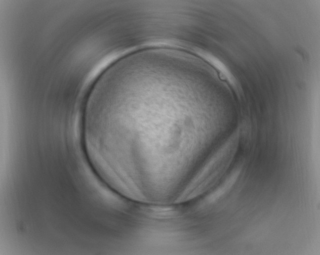 X0000114221007200910231439