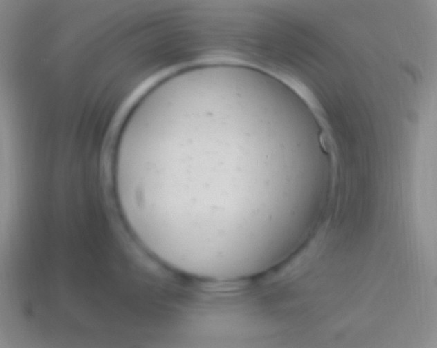 X0000114221008200910231439