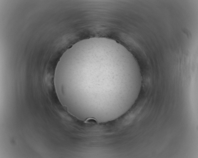 X0000114221010200910231439