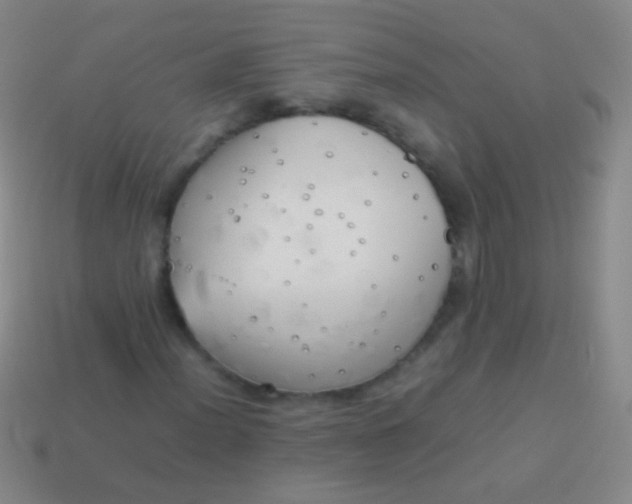 X0000114221012200910231439