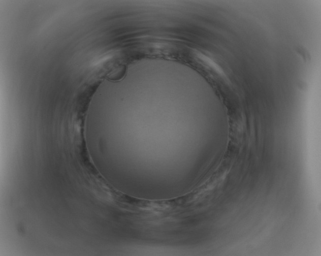 X0000114221013200910231439