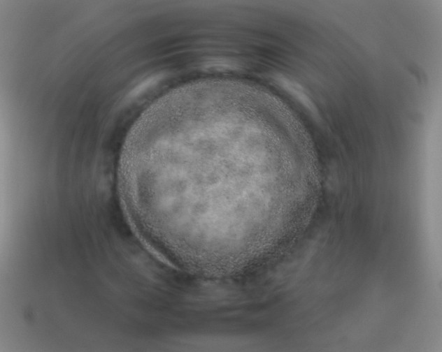 X0000114221015200910231439