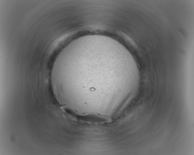 X0000114221016200910231439