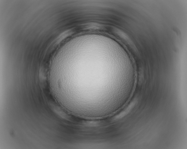 X0000114221017200910231439