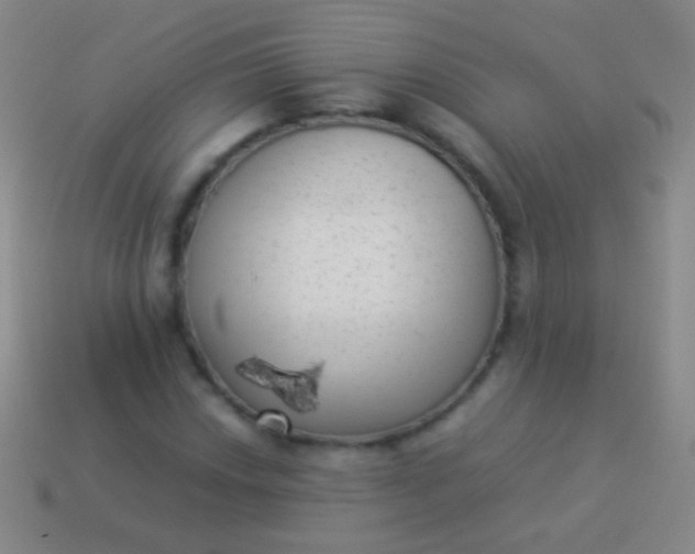 X0000114221018200910231439