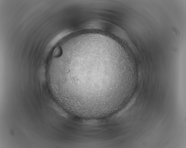 X0000114221019200910231439