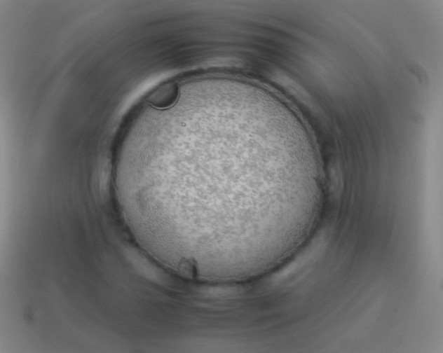 X0000114221021200910231439