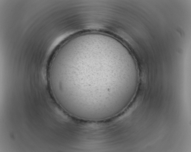 X0000114221022200910231439