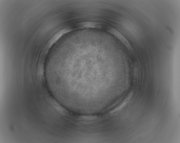 X0000114221023200910231439