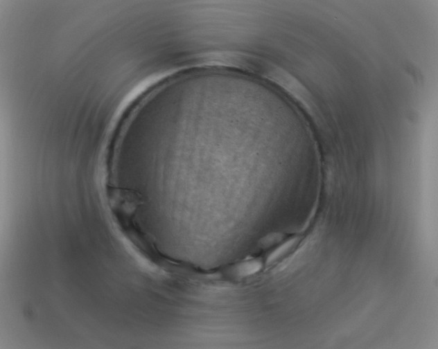 X0000114221024200910231439