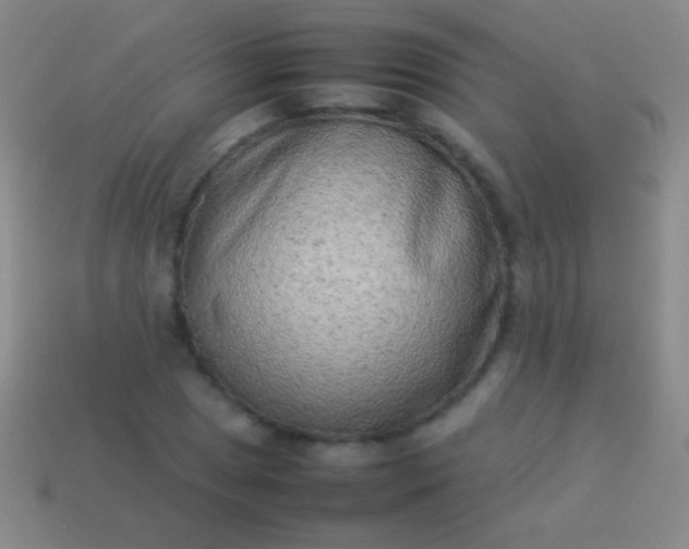 X0000114221025200910231439