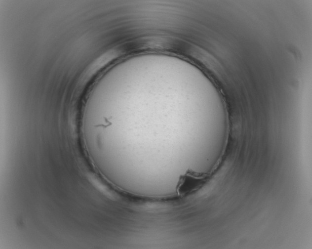 X0000114221026200910231439