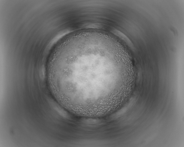 X0000114221027200910231439