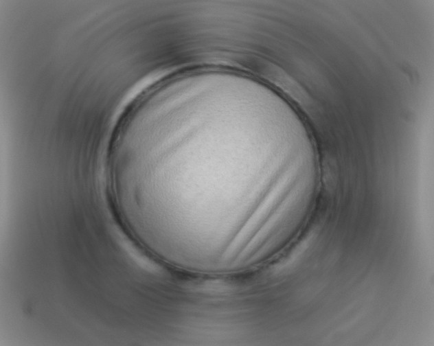 X0000114221028200910231439