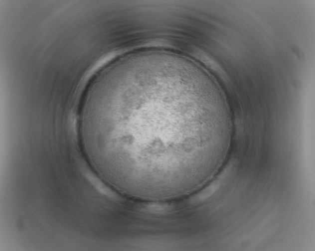 X0000114221029200910231439