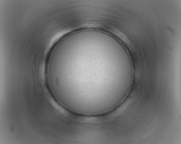 X0000114221030200910231439