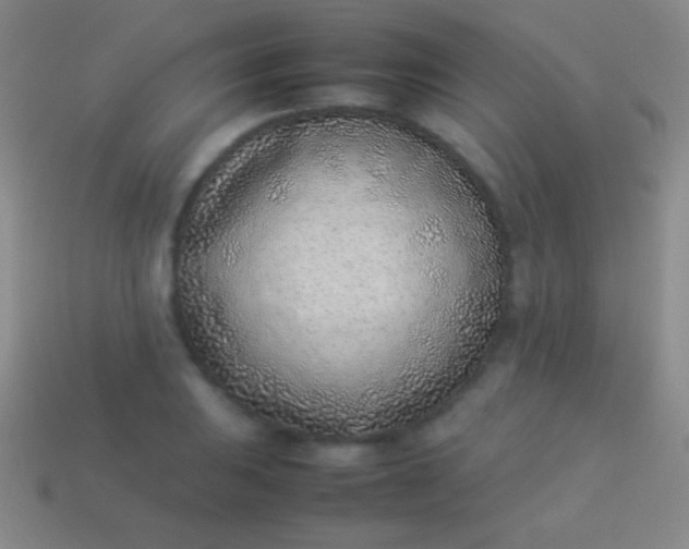 X0000114221031200910231439