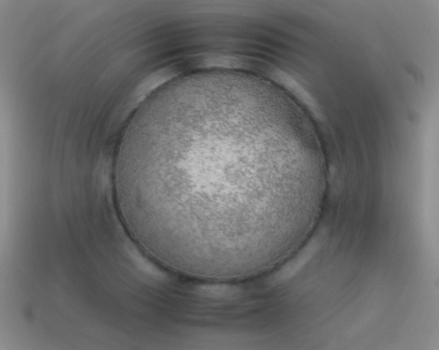 X0000114221033200910231439