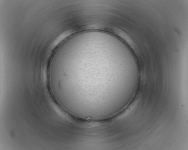 X0000114221034200910231439