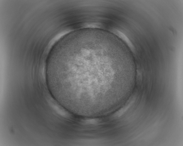 X0000114221035200910231439