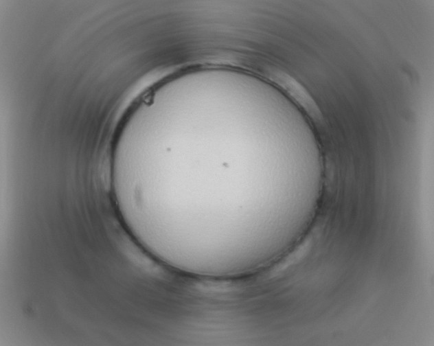 X0000114221036200910231439