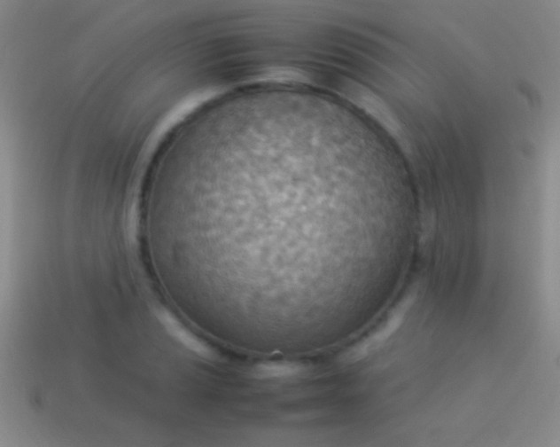 X0000114221037200910231439