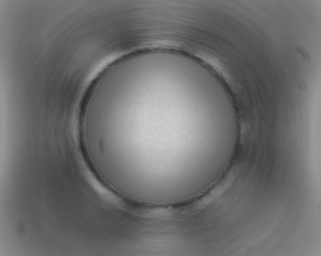 X0000114221038200910231439