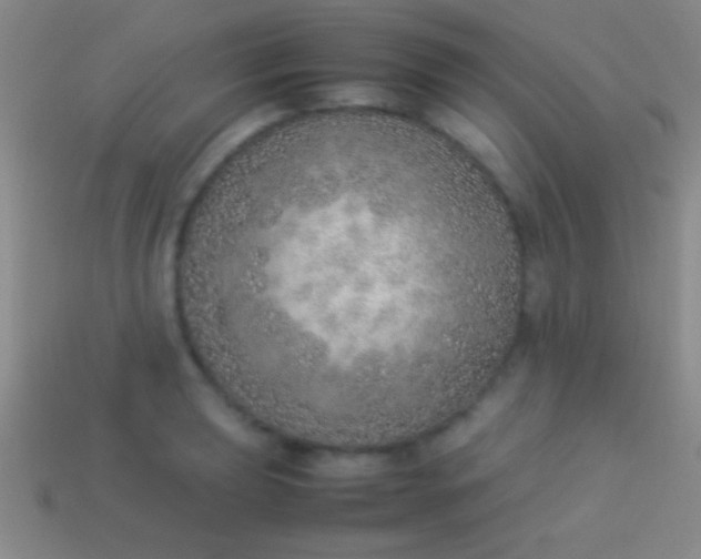 X0000114221039200910231439