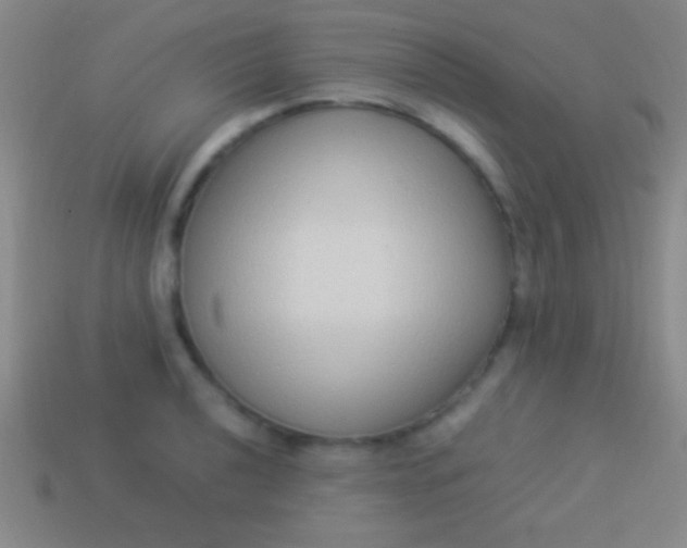 X0000114221040200910231439