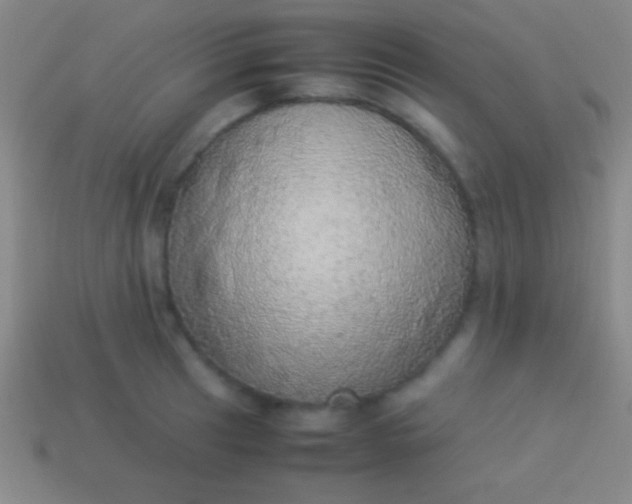 X0000114221041200910231439