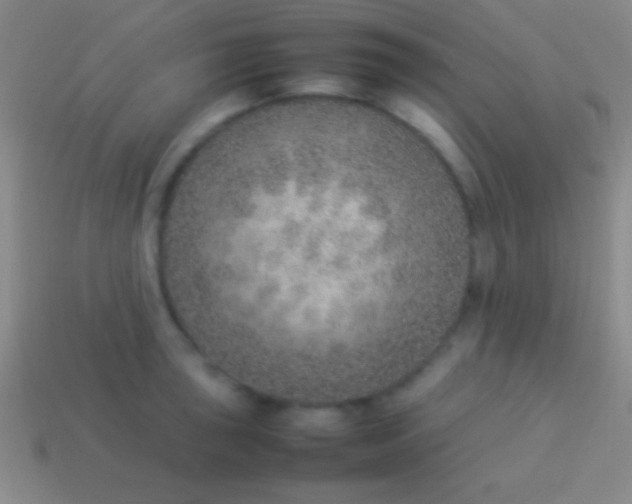 X0000114221043200910231439