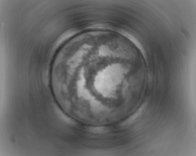 X0000114221045200910231439