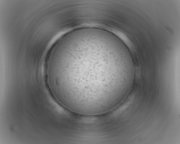 X0000114221046200910231439