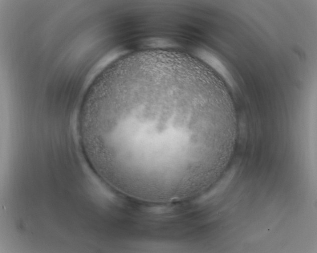 X0000114221047200910231439