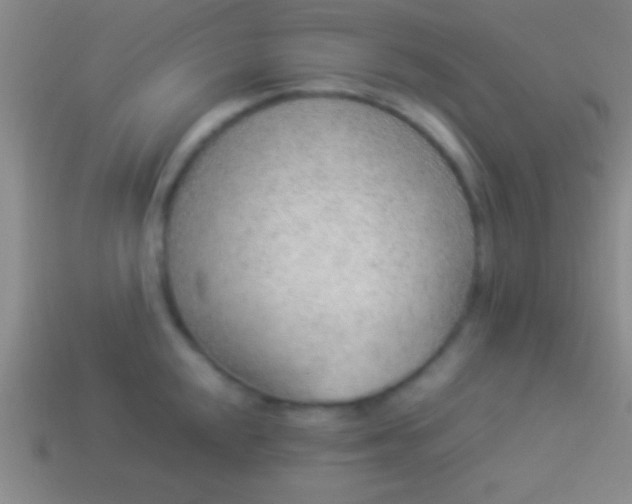 X0000114221048200910231439