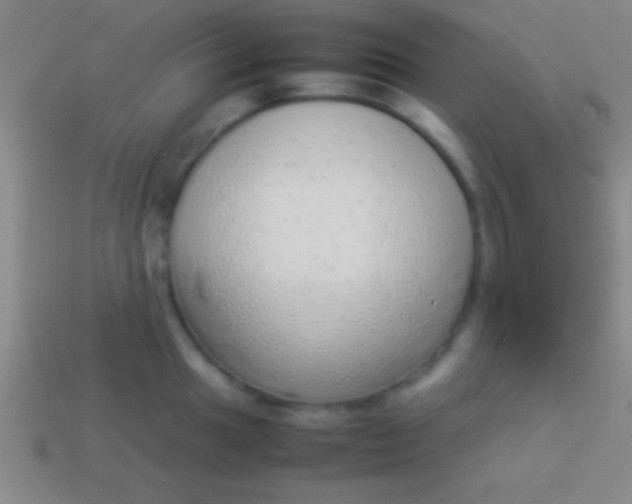 X0000114221049200910231439