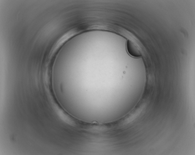 X0000114221050200910231439